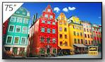 SONY BRAVIA 75BZ30L