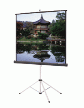 Projection Screens (Portable)